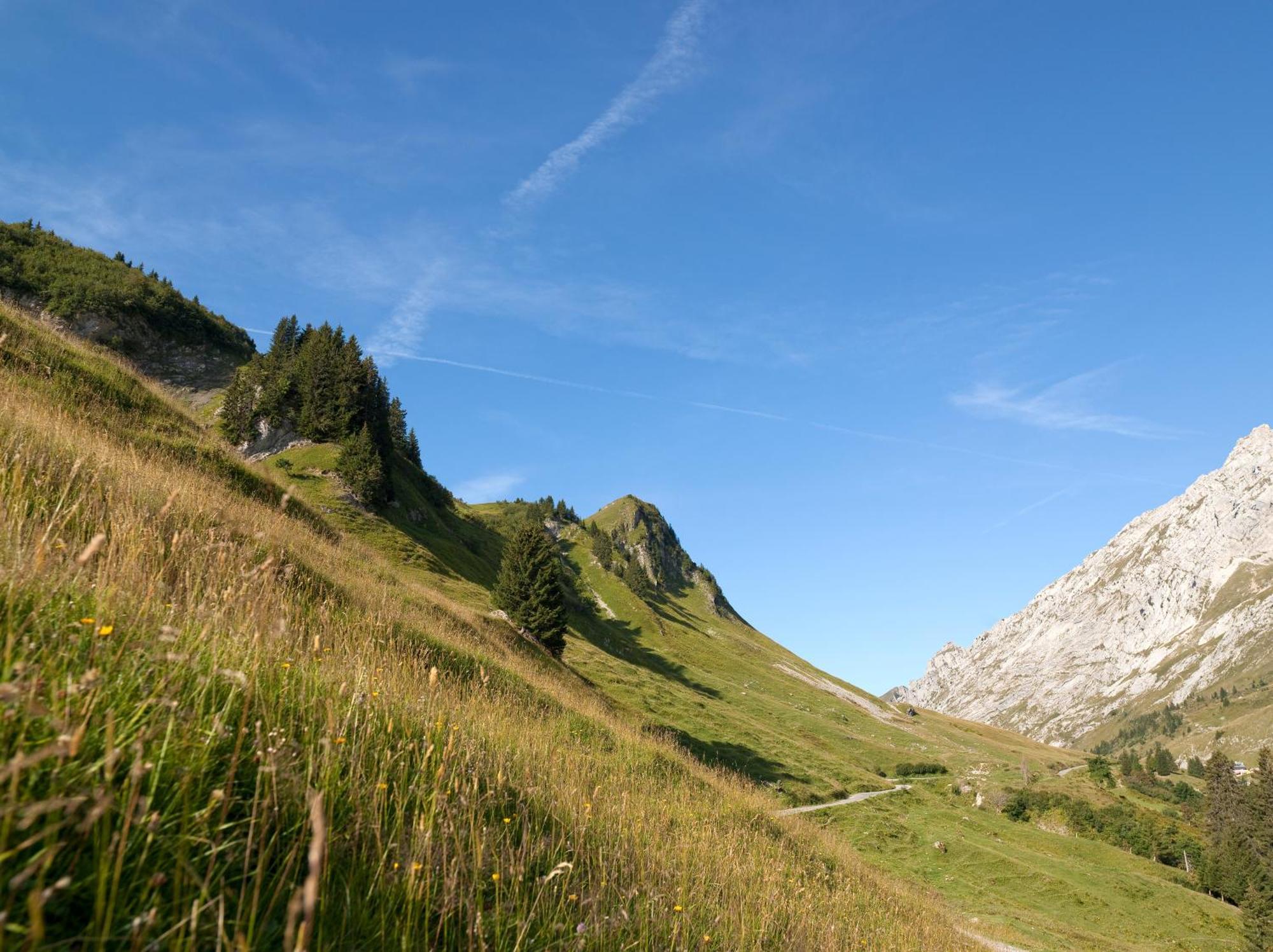 Mgm Hotels & Residences - Residence Chalets De Joy Le Grand-Bornand Exterior foto